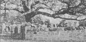Basking Ridge Historic Oakcarosel