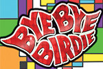 bye bye birdie33