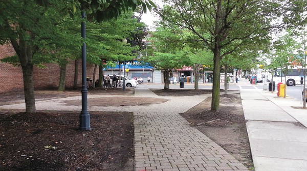 Fink Park completely void of benches. *Photos by Carolyn Maxwell