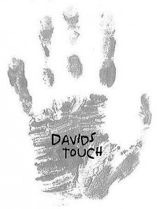 davids touch logo - bbbb