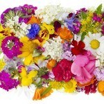 Copyright: vilax / 123RF Stock Photo