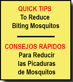 mosquito info